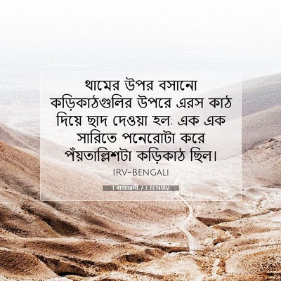 Picture 07 - 1 ৰাজাৱলী 7:3 BENIRV - থামের উপর বসানো - Bible Verse Picture