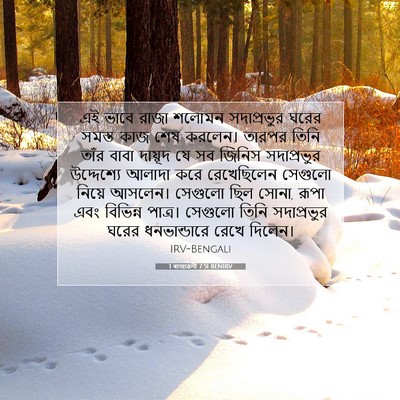 Picture 07 - 1 ৰাজাৱলী 7:51 BENIRV - এই ভাবে রাজা শলোমন - Bible Verse Picture