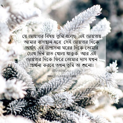 Picture 07 - 1 ৰাজাৱলী 8:29 BENIRV - যে জায়গার বিষয় - Bible Verse Picture