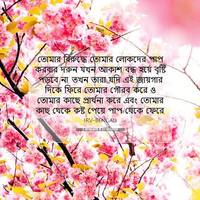 Picture 07 - 1 ৰাজাৱলী 8:35 BENIRV - তোমার বিরুদ্ধে - Bible Verse Picture