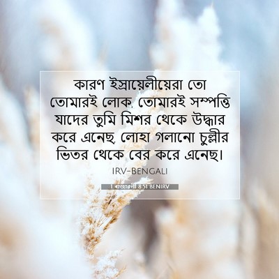 Picture 07 - 1 ৰাজাৱলী 8:51 BENIRV - কারণ - Bible Verse Picture