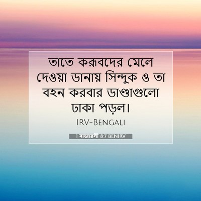 Picture 07 - 1 ৰাজাৱলী 8:7 BENIRV - তাতে করূবদের মেলে - Bible Verse Picture