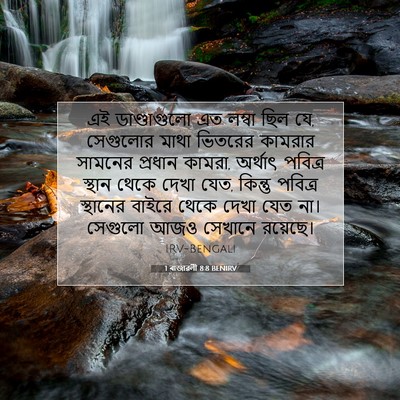 Picture 07 - 1 ৰাজাৱলী 8:8 BENIRV - এই ডাণ্ডাগুলো এত - Bible Verse Picture