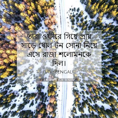 Picture 07 - 1 ৰাজাৱলী 9:28 BENIRV - তারা ওফীরে গিয়ে - Bible Verse Picture