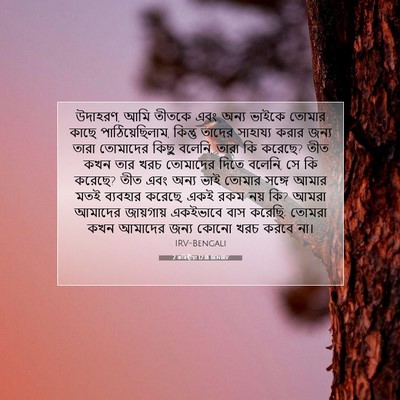 Picture 07 - 2 কৰিন্থীয়া 12:18 BENIRV - উদাহরণ, আমি তীতকে - Bible Verse Picture