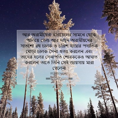 Picture 07 - 2 চমূৱেল 10:18 BENIRV - আর অরামীয়েরা - Bible Verse Picture