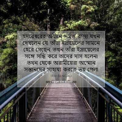 Picture 07 - 2 চমূৱেল 10:19 BENIRV - হদরেষরের অধীনে - Bible Verse Picture