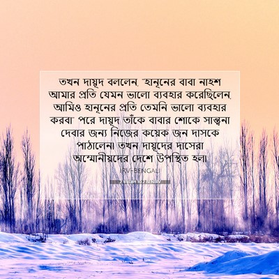 Picture 07 - 2 চমূৱেল 10:2 BENIRV - তখন দায়ূদ বললেন, - Bible Verse Picture