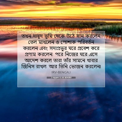 Picture 07 - 2 চমূৱেল 12:20 BENIRV - তখন দায়ূদ ভূমি - Bible Verse Picture