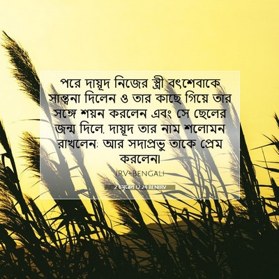 Picture 07 - 2 চমূৱেল 12:24 BENIRV - পরে দায়ূদ নিজের - Bible Verse Picture