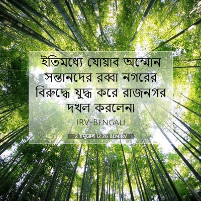 Picture 07 - 2 চমূৱেল 12:26 BENIRV - ইতিমধ্যে যোয়াব - Bible Verse Picture