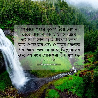 Picture 07 - 2 চমূৱেল 14:2 BENIRV - তকোয়ে শহরে দূত - Bible Verse Picture