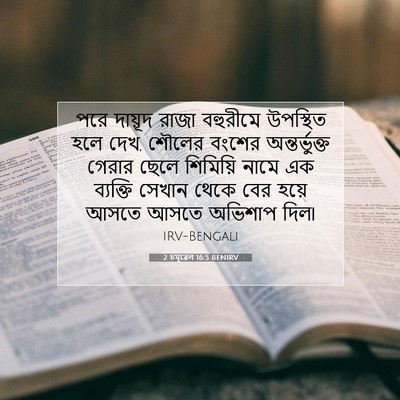 Picture 07 - 2 চমূৱেল 16:5 BENIRV - পরে দায়ূদ রাজা - Bible Verse Picture