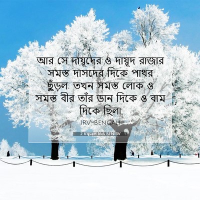 Picture 07 - 2 চমূৱেল 16:6 BENIRV - আর সে দায়ূদের ও - Bible Verse Picture