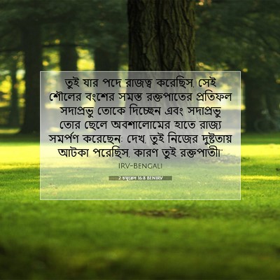 Picture 07 - 2 চমূৱেল 16:8 BENIRV - তুই যার পদে রাজত্ব - Bible Verse Picture