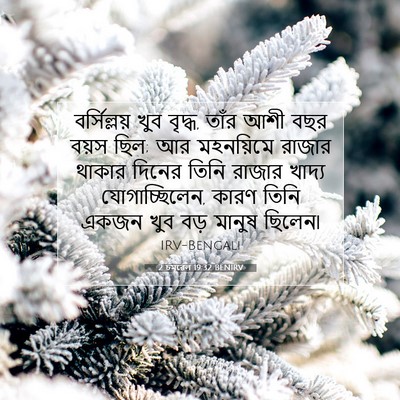 Picture 07 - 2 চমূৱেল 19:32 BENIRV - বর্সিল্লয় খুব - Bible Verse Picture