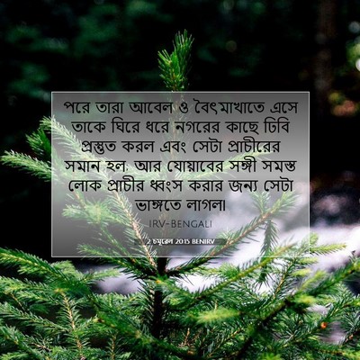 Picture 07 - 2 চমূৱেল 20:15 BENIRV - পরে তারা আবেল ও - Bible Verse Picture