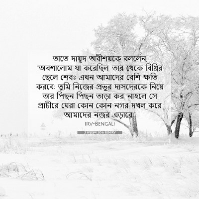 Picture 07 - 2 চমূৱেল 20:6 BENIRV - তাতে দায়ূদ - Bible Verse Picture