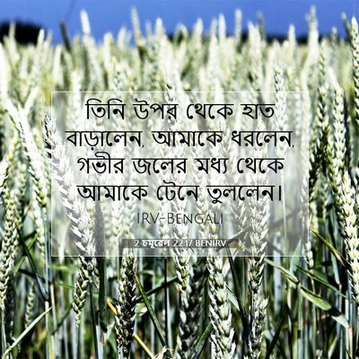 Picture 07 - 2 চমূৱেল 22:17 BENIRV - তিনি উপর থেকে হাত - Bible Verse Picture