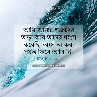 Picture 07 - 2 চমূৱেল 22:38 BENIRV - আমি আমার শত্রুদের - Bible Verse Picture