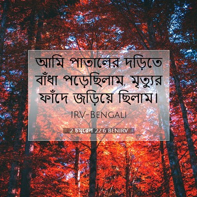 Picture 07 - 2 চমূৱেল 22:6 BENIRV - আমি পাতালের - Bible Verse Picture