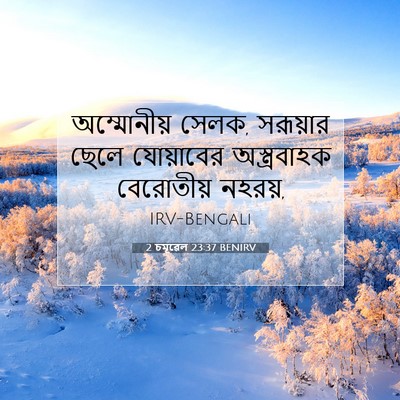 Picture 07 - 2 চমূৱেল 23:37 BENIRV - অম্মোনীয় সেলক, - Bible Verse Picture