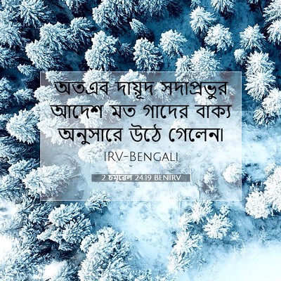 Picture 07 - 2 চমূৱেল 24:19 BENIRV - অতএব দায়ূদ - Bible Verse Picture