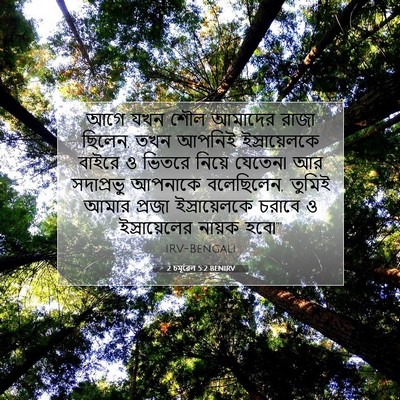 Picture 07 - 2 চমূৱেল 5:2 BENIRV - আগে যখন শৌল আমাদের - Bible Verse Picture