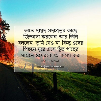 Picture 07 - 2 চমূৱেল 5:23 BENIRV - তাতে দায়ূদ - Bible Verse Picture