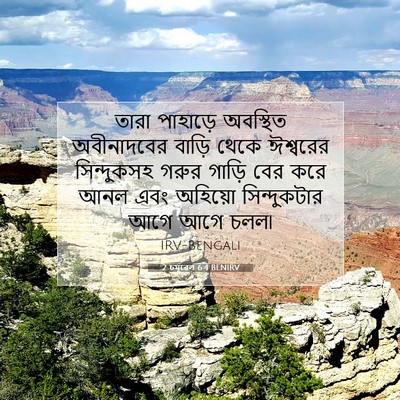Picture 07 - 2 চমূৱেল 6:4 BENIRV - তারা পাহাড়ে - Bible Verse Picture