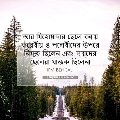 Picture 07 - 2 চমূৱেল 8:18 BENIRV - আর যিহোয়াদার - Bible Verse Picture