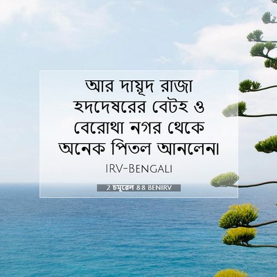 Picture 07 - 2 চমূৱেল 8:8 BENIRV - আর দায়ূদ রাজা - Bible Verse Picture