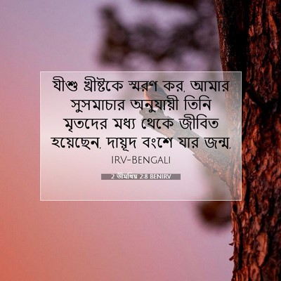 Picture 07 - 2 তীমথিয় 2:8 BENIRV - যীশু খ্রীষ্টকে - Bible Verse Picture
