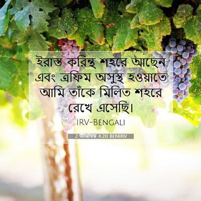 Picture 07 - 2 তীমথিয় 4:20 BENIRV - ইরাস্ত করিন্থ - Bible Verse Picture