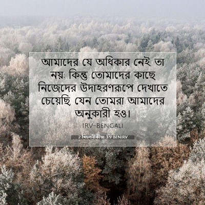 Picture 07 - 2 থিচলনীকীয়া 3:9 BENIRV - আমাদের যে অধিকার - Bible Verse Picture