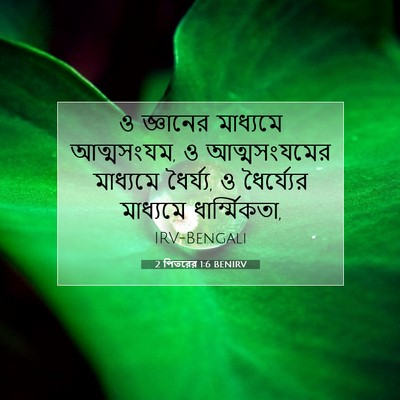 Picture 07 - 2 পিতরের 1:6 BENIRV - ও জ্ঞানের মাধ্যমে - Bible Verse Picture