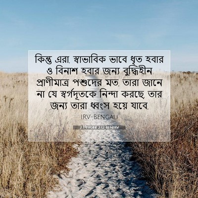 Picture 07 - 2 পিতরের 2:12 BENIRV - কিন্তু এরা, - Bible Verse Picture