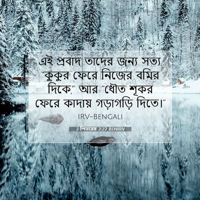 Picture 07 - 2 পিতরের 2:22 BENIRV - এই প্রবাদ তাদের - Bible Verse Picture
