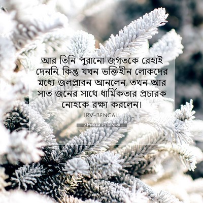 Picture 07 - 2 পিতরের 2:5 BENIRV - আর তিনি পুরানো - Bible Verse Picture