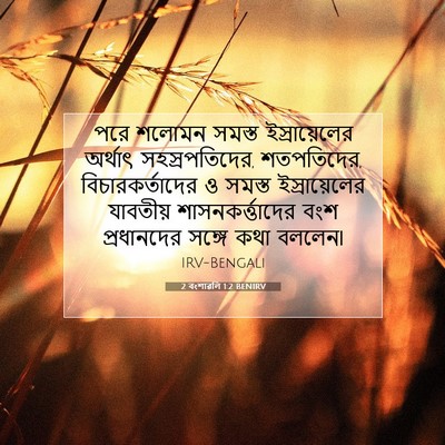 Picture 07 - 2 বংশাৱলি 1:2 BENIRV - পরে শলোমন সমস্ত - Bible Verse Picture