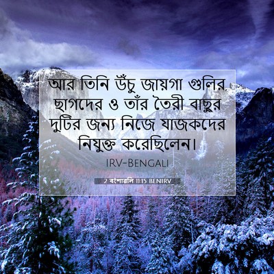 Picture 07 - 2 বংশাৱলি 11:15 BENIRV - আর তিনি উঁচু - Bible Verse Picture