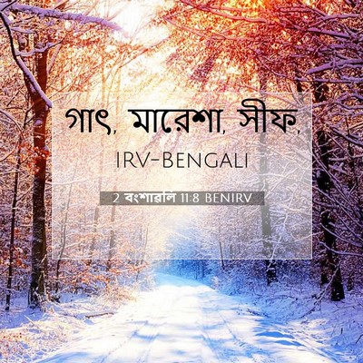 Picture 07 - 2 বংশাৱলি 11:8 BENIRV - গাৎ, মারেশা, - Bible Verse Picture