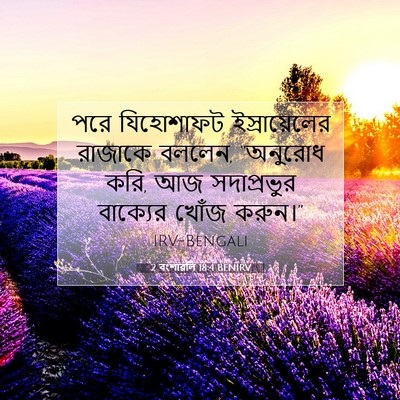 Picture 07 - 2 বংশাৱলি 18:4 BENIRV - পরে যিহোশাফট - Bible Verse Picture