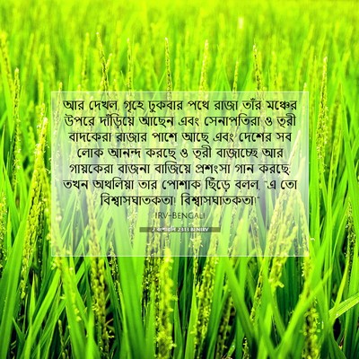 Picture 07 - 2 বংশাৱলি 23:13 BENIRV - আর দেখল, গৃহে - Bible Verse Picture