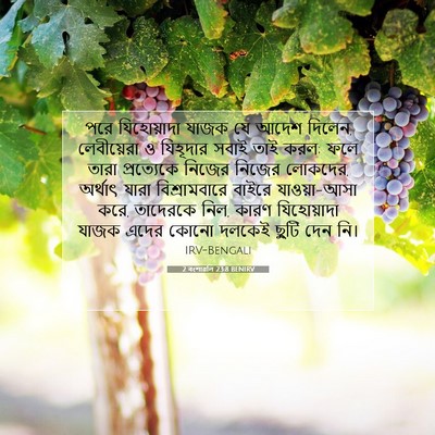 Picture 07 - 2 বংশাৱলি 23:8 BENIRV - পরে যিহোয়াদা - Bible Verse Picture