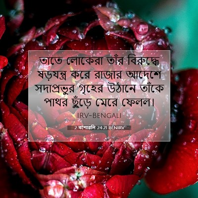 Picture 07 - 2 বংশাৱলি 24:21 BENIRV - তাতে লোকেরা তাঁর - Bible Verse Picture