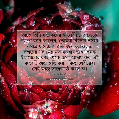 Picture 07 - 2 বংশাৱলি 24:5 BENIRV - তাতে তিনি যাজকদের - Bible Verse Picture