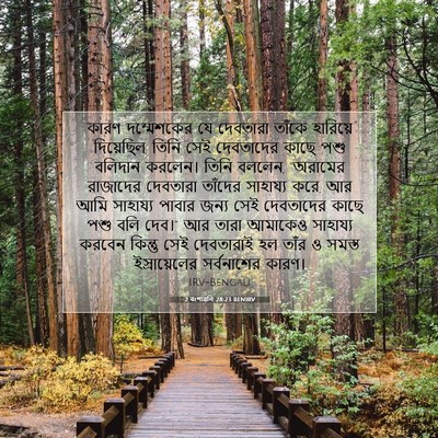 Picture 07 - 2 বংশাৱলি 28:23 BENIRV - কারণ দম্মেশকের যে - Bible Verse Picture