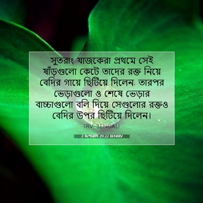 Picture 07 - 2 বংশাৱলি 29:22 BENIRV - সুতরাং যাজকেরা - Bible Verse Picture