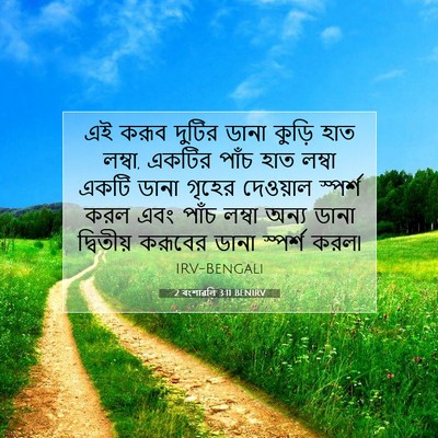 Picture 07 - 2 বংশাৱলি 3:11 BENIRV - এই করূব দুটির ডানা - Bible Verse Picture